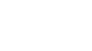 fs2-logo